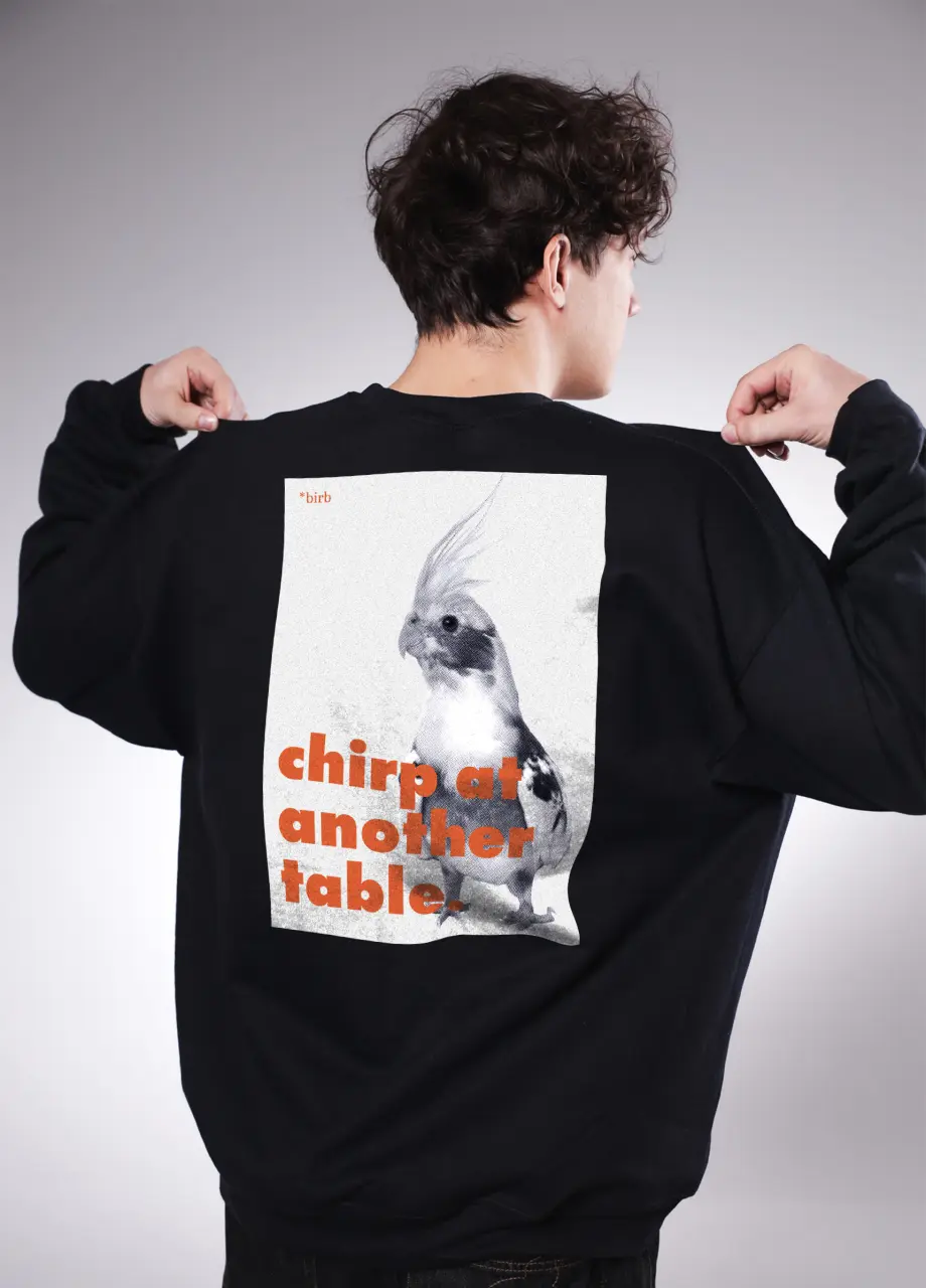BLUZA CHIRP AT ANOTHER TABLE