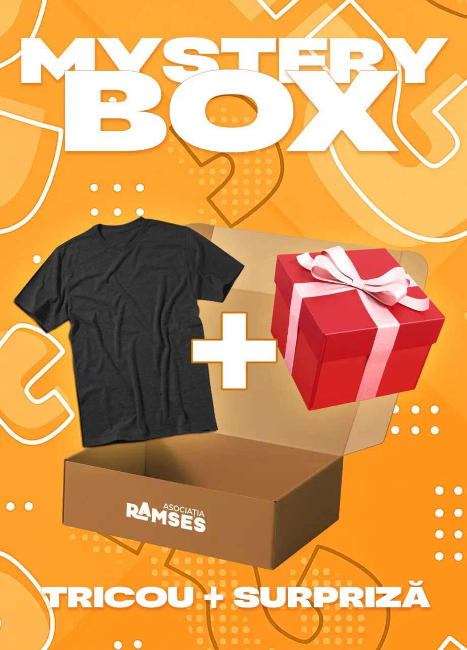 Mystery Box 1: Tricou + Surpriza